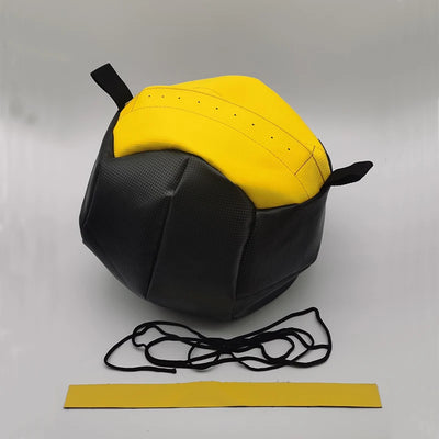 Medicine Wall Ball